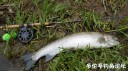 Filename=attachID_29352_postID_267262_20170513_115820.jpg
Filesize=154KiB
Dimensions=1000x562
Date added=May 25, 2017 attachID_29352_postID_267262_20170513_115820.jpg