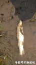 Filename=attachID_29356_postID_267268_20170513_124635.jpg
Filesize=71KiB
Dimensions=562x1000
Date added=May 25, 2017 attachID_29356_postID_267268_20170513_124635.jpg
