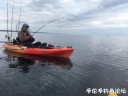 Filename=attachID_29365_postID_267334_IMG_2284.JPG
Filesize=71KiB
Dimensions=1000x750
Date added=May 25, 2017 attachID_29365_postID_267334_IMG_2284.JPG