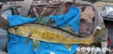Filename=attachID_29410_postID_267161__00f.jpg
Filesize=133KiB
Dimensions=1000x486
Date added=May 25, 2017 attachID_29410_postID_267161__00f.jpg