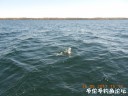 Filename=attachID_29437_postID_267906_DSCN0766.JPG
Filesize=88KiB
Dimensions=1000x750
Date added=May 25, 2017 attachID_29437_postID_267906_DSCN0766.JPG