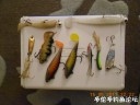 Filename=attachID_29458_postID_267983_DSCN0794.JPG
Filesize=81KiB
Dimensions=1000x750
Date added=May 25, 2017 attachID_29458_postID_267983_DSCN0794.JPG