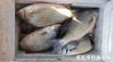 Filename=attachID_29612_postID_269381_20170522_181400.jpg
Filesize=94KiB
Dimensions=1000x562
Date added=May 25, 2017 attachID_29612_postID_269381_20170522_181400.jpg