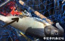 Filename=attachID_29688_postID_270148_1.jpg
Filesize=127KiB
Dimensions=979x618
Date added=Oct 21, 2017 attachID_29688_postID_270148_1.jpg
