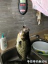 attachID_29750_postID_270611_IMG_1060.JPG