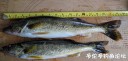 Filename=attachID_29829_postID_271581__00s.jpg
Filesize=103KiB
Dimensions=1000x484
Date added=Oct 21, 2017 attachID_29829_postID_271581__00s.jpg