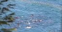 Filename=attachID_3015_postID_23637_003c.jpg
Filesize=187KiB
Dimensions=634x329
Date added=Dec 02, 2016 attachID_3015_postID_23637_003c.jpg