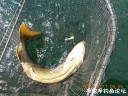 Filename=attachID_30179_postID_274443_DSCN0905.JPG
Filesize=214KiB
Dimensions=1000x750
Date added=Oct 21, 2017 attachID_30179_postID_274443_DSCN0905.JPG