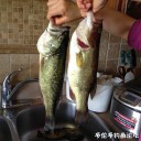 Filename=attachID_30273_postID_275194_IMG_3213.JPG
Filesize=140KiB
Dimensions=1000x1000
Date added=Oct 21, 2017 attachID_30273_postID_275194_IMG_3213.JPG