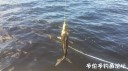 Filename=attachID_30292_postID_275290_20170624_144030.jpg
Filesize=84KiB
Dimensions=1000x562
Date added=Oct 21, 2017 attachID_30292_postID_275290_20170624_144030.jpg