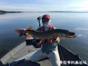 Filename=attachID_30534_postID_277446_IMG_3639.JPG
Filesize=77KiB
Dimensions=1000x750
Date added=Oct 21, 2017 attachID_30534_postID_277446_IMG_3639.JPG