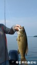 Filename=attachID_30622_postID_278150_5lbsmallmouth.jpg
Filesize=50KiB
Dimensions=569x1000
Date added=Oct 21, 2017 attachID_30622_postID_278150_5lbsmallmouth.jpg