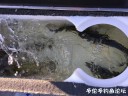 attachID_30656_postID_278437_IMG_3712.JPG