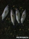 attachID_30657_postID_278453_IMG_3722.JPG