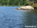 Filename=attachID_30674_postID_278585_IMG_2812.JPG
Filesize=136KiB
Dimensions=1000x750
Date added=Oct 21, 2017 attachID_30674_postID_278585_IMG_2812.JPG