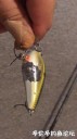 attachID_30675_postID_278585_IMG_2816.JPG