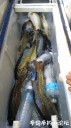 Filename=attachID_30712_postID_279058_20170719_163927.jpg
Filesize=67KiB
Dimensions=562x1000
Date added=Oct 21, 2017 attachID_30712_postID_279058_20170719_163927.jpg