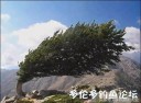 Filename=attachID_30744_postID_279433___27j.jpg
Filesize=47KiB
Dimensions=641x475
Date added=Oct 21, 2017 attachID_30744_postID_279433___27j.jpg