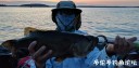 Filename=attachID_30835_postID_280407___27a.jpg
Filesize=76KiB
Dimensions=1000x497
Date added=Oct 21, 2017 attachID_30835_postID_280407___27a.jpg