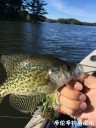 attachID_30855_postID_280599_IMG_2963.JPG