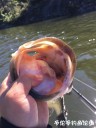 attachID_30856_postID_280599_IMG_2969.JPG
