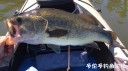 attachID_30857_postID_280599_IMG_2971.JPG