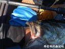 attachID_30858_postID_280599_IMG_2984.JPG