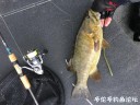 attachID_30917_postID_281230_IMG_3904.JPG
