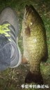Filename=attachID_30957_postID_281539_WeiXinTuPian_20170811130808.jpg
Filesize=93KiB
Dimensions=563x1000
Date added=Oct 21, 2017 attachID_30957_postID_281539_WeiXinTuPian_20170811130808.jpg