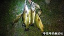attachID_30958_postID_281539_WeiXinTuPian_20170811130747.jpg