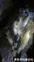 attachID_30959_postID_281539_WeiXinTuPian_20170811130803.jpg