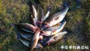 attachID_30961_postID_281539_WeiXinTuPian_20170811130756.jpg