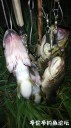 Filename=attachID_31013_postID_281807_IMG_20170817_010527.jpg
Filesize=81KiB
Dimensions=562x1000
Date added=Oct 21, 2017 attachID_31013_postID_281807_IMG_20170817_010527.jpg