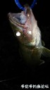 Filename=attachID_31045_postID_281897_IMG_20170819_210627.jpg
Filesize=38KiB
Dimensions=562x1000
Date added=Oct 21, 2017 attachID_31045_postID_281897_IMG_20170819_210627.jpg