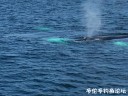 Filename=attachID_31095_postID_282264_IMG_1827.JPG
Filesize=110KiB
Dimensions=1000x750
Date added=Oct 21, 2017 attachID_31095_postID_282264_IMG_1827.JPG