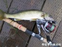 Filename=attachID_31205_postID_282977_9.jpg
Filesize=122KiB
Dimensions=1000x750
Date added=Oct 21, 2017 attachID_31205_postID_282977_9.jpg