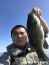 attachID_31240_postID_283277_IMG_0168.JPG