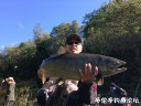 Filename=attachID_31261_postID_283571_IMG_3774.JPG
Filesize=130KiB
Dimensions=1000x750
Date added=Oct 21, 2017 attachID_31261_postID_283571_IMG_3774.JPG