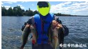 attachID_31285_postID_283798___27i.jpg