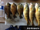 Filename=attachID_31293_postID_283820_IMG_3792.JPG
Filesize=112KiB
Dimensions=1000x750
Date added=Oct 21, 2017 attachID_31293_postID_283820_IMG_3792.JPG