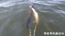 Filename=attachID_31320_postID_284313___27p.jpg
Filesize=46KiB
Dimensions=1000x560
Date added=Oct 21, 2017 attachID_31320_postID_284313___27p.jpg