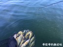 Filename=attachID_31362_postID_284630_IMG_3615.JPG
Filesize=82KiB
Dimensions=1000x750
Date added=Oct 21, 2017 attachID_31362_postID_284630_IMG_3615.JPG