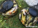 Filename=attachID_31363_postID_284630_IMG_3618.JPG
Filesize=222KiB
Dimensions=1000x750
Date added=Oct 21, 2017 attachID_31363_postID_284630_IMG_3618.JPG