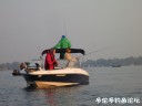 attachID_31383_postID_284724_2.jpg