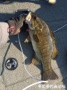 attachID_31430_postID_285256_IMG_2887.JPG