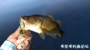 Filename=attachID_31437_postID_285358___27r.jpg
Filesize=50KiB
Dimensions=1000x556
Date added=Oct 21, 2017 attachID_31437_postID_285358___27r.jpg