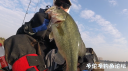 Filename=attachID_31571_postID_286347_IMG_2172.PNG
Filesize=708KiB
Dimensions=1000x562
Date added=Oct 21, 2017 attachID_31571_postID_286347_IMG_2172.PNG