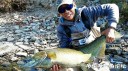 Filename=attachID_31687_postID_286993_IMG-20171001-WA0041.jpg
Filesize=164KiB
Dimensions=1000x562
Date added=Oct 21, 2017 attachID_31687_postID_286993_IMG-20171001-WA0041.jpg