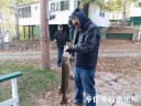 Filename=attachID_31723_postID_287451_20171006_175905web.jpg
Filesize=122KiB
Dimensions=826x620
Date added=Oct 21, 2017 attachID_31723_postID_287451_20171006_175905web.jpg