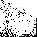 Filename=attachID_3183_postID_25554_httpkent-klewein_comgeorgia-fly-fishing-blogwp-contentuploads200910midge_life_cycle.gif
Filesize=79KiB
Dimensions=650x650
Date added=Dec 02, 2016 attachID_3183_postID_25554_httpkent-klewein_comgeorgia-fly-fishing-blogwp-contentuploads200910midge_life_cycle.gif